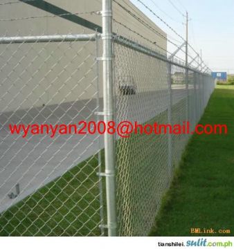 Chain Link Fence